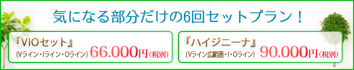 気になる部分だけの6回セットプラン!